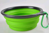Dog collapsible water / food bowl - MySports and More